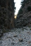 IMG_4238.jpg