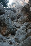 IMG_4244.jpg
