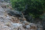 IMG_4246.jpg