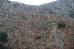 IMG_4266.jpg