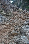 IMG_4267.jpg