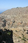 IMG_4274.jpg