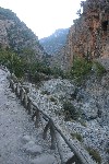 IMG_4297.jpg