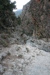 IMG_4304.jpg