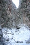 IMG_4316.jpg