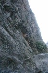 IMG_4318.jpg