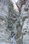 IMG_4319.jpg