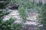 IMG_4321.jpg