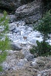 IMG_4322.jpg
