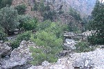 IMG_4325.jpg