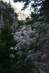 IMG_4332.jpg