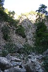 IMG_4340.jpg