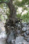 IMG_4343.jpg