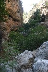 IMG_4346.jpg