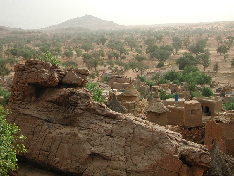 Savane