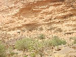 DSCN2964.JPG