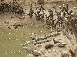 DSCN2973.JPG