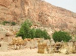 DSCN2983.JPG