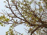 DSCN2985.JPG