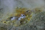 IMG_3811.jpg