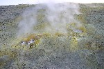 IMG_3813.jpg