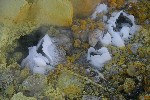 IMG_3816.jpg