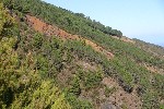 IMG_3845.jpg