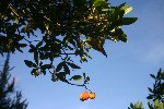 IMG_3846.jpg