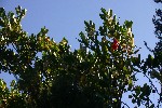IMG_3848.jpg