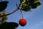 IMG_3849.jpg