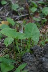 IMG_3859.jpg