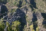 IMG_3876.jpg