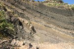 IMG_3891.jpg