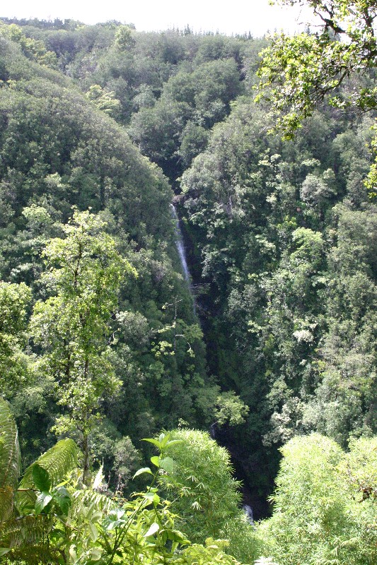 Cascade