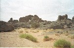 SCAN11.jpg