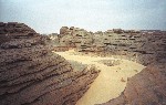 SCAN23.jpg
