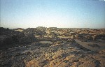 SCAN64.jpg