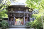 IMG_4261.JPG
