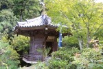 IMG_4268.JPG