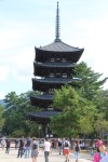 IMG_4539.JPG