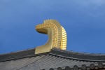 IMG_4542.JPG
