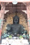 IMG_4569.JPG