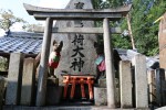 IMG_4681.JPG