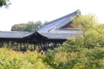 IMG_4697.JPG