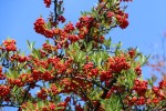 IMG_4745.JPG