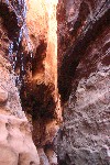 IMG_4851.jpg