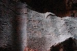 IMG_4857.jpg