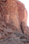 IMG_4865.jpg