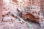 IMG_4867.jpg