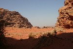 IMG_4890.jpg